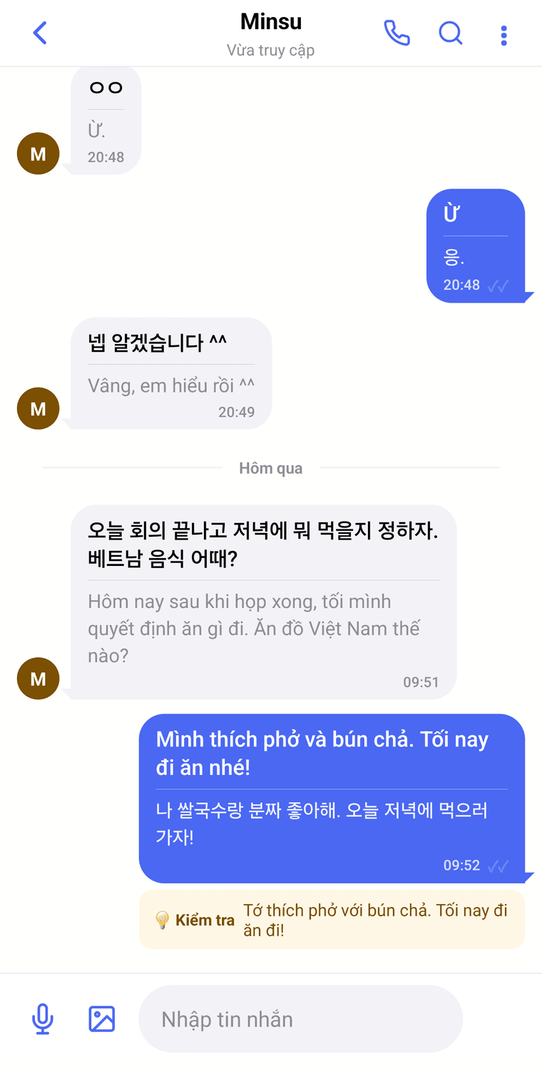 LingoLink — Vietnamese view